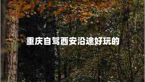 重慶自駕西安沿途好玩的