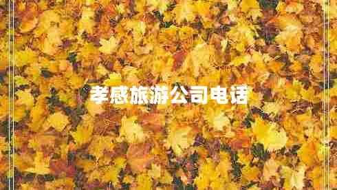 孝感旅游公司電話 孝感旅游公司電話