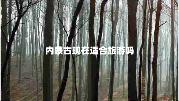 內(nèi)蒙古現(xiàn)在適合旅游嗎