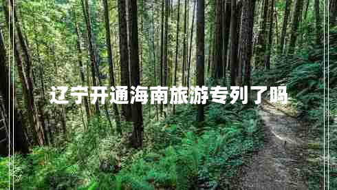 遼寧開通海南旅游專列了嗎