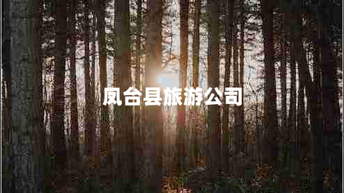 鳳臺縣旅游公司