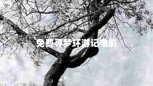 免費(fèi)尋夢(mèng)環(huán)游記電影