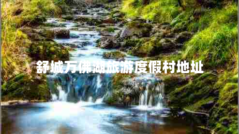 舒城萬佛湖旅游度假村地址