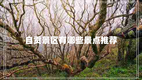 自貢景區(qū)有哪些景點(diǎn)推薦