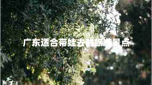 廣東適合帶娃去的旅游景點(diǎn)