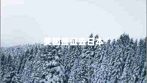 美國(guó)簽證去日本