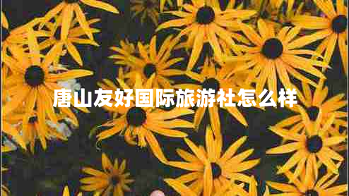 唐山友好國際旅游社怎么樣