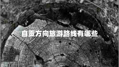 自貢方向旅游路線有哪些 自貢方向旅游路線有哪些
