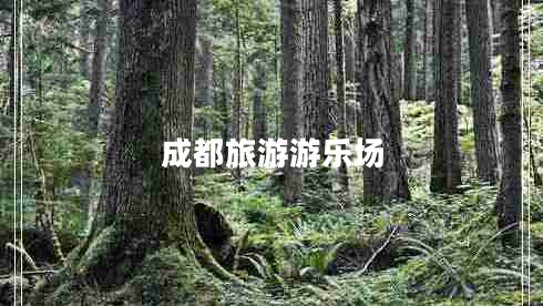 成都旅游游樂場