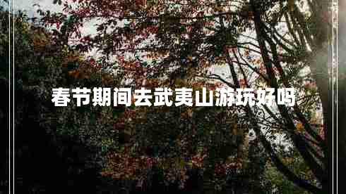 春節(jié)期間去武夷山游玩好嗎