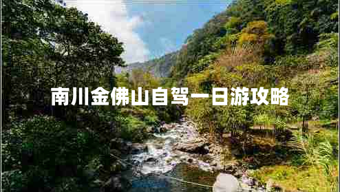 南川金佛山自駕一日游攻略