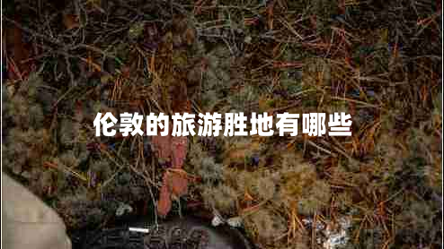 倫敦的旅游勝地有哪些