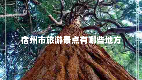 宿州市旅游景點有哪些地方