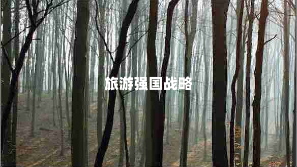 旅游強國戰(zhàn)略
