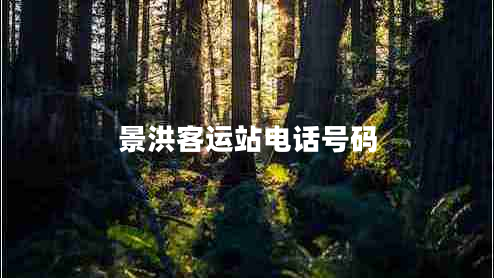 景洪客運站電話號碼