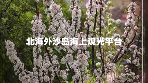 北海外沙島海上觀光平臺(tái)