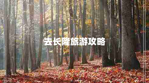 去長(zhǎng)隆旅游攻略