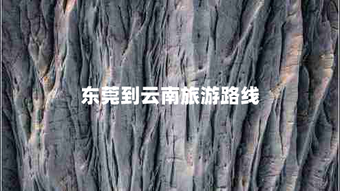 東莞到云南旅游路線