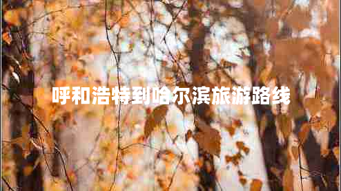 呼和浩特到哈爾濱旅游路線 呼和浩特到哈爾濱旅游路線