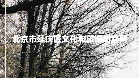 北京市延慶區(qū)文化和旅游局官網(wǎng) 北京市延慶區(qū)文化和旅游局官網(wǎng)