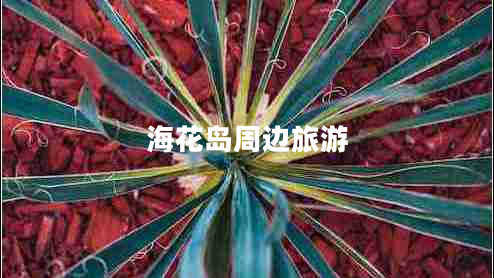 ?；◢u周邊旅游