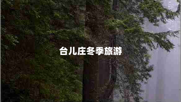 臺兒莊冬季旅游