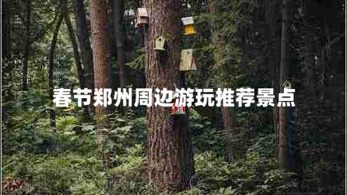 春節(jié)鄭州周邊游玩推薦景點(diǎn)