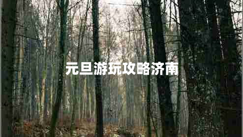 元旦游玩攻略濟(jì)南