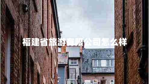 福建省旅游有限公司怎么樣