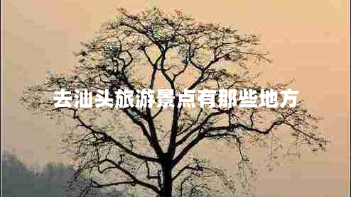 去汕頭旅游景點(diǎn)有那些地方