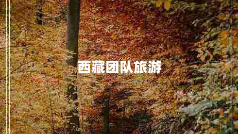 西藏團(tuán)隊(duì)旅游