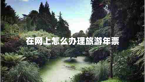 在網(wǎng)上怎么辦理旅游年票 在網(wǎng)上怎么辦理旅游年票