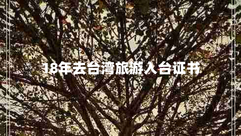 18年去臺灣旅游入臺證書