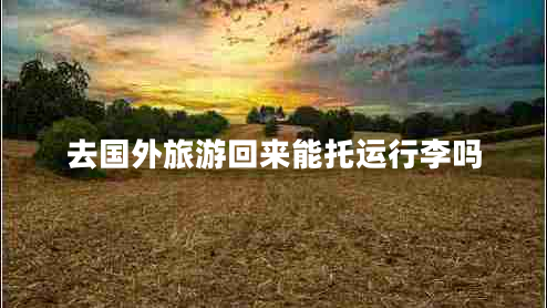 去國外旅游回來能托運行李嗎 去國外旅游回來能托運行李嗎