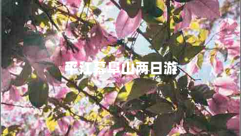 平江幕阜山兩日游