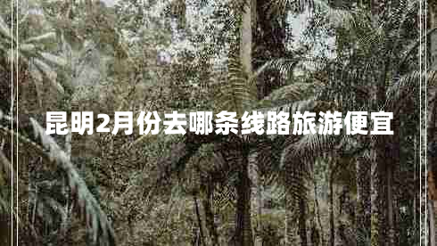 昆明2月份去哪條線路旅游便宜 昆明2月份去哪條線路旅游便宜