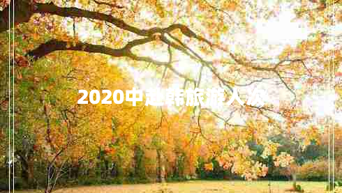 2020中赴韓旅游人次 2020中赴韓旅游人次