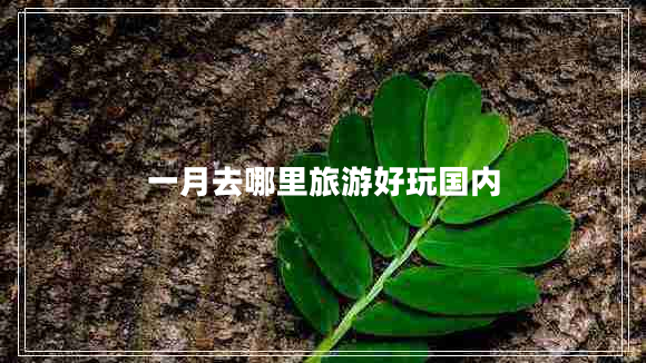 一月去哪里旅游好玩國(guó)內(nèi) 一月去哪里旅游好玩國(guó)內(nèi)