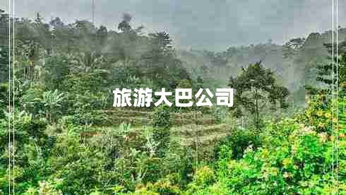 旅游大巴公司 旅游大巴公司