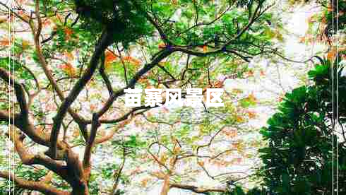 苗寨風(fēng)景區(qū)