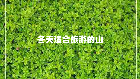 冬天適合旅游的山