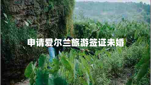 申請(qǐng)愛爾蘭旅游簽證未婚