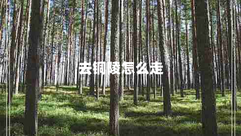 去銅陵怎么走 去銅陵怎么走