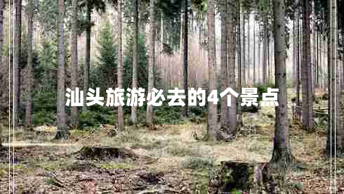 汕頭旅游必去的4個(gè)景點(diǎn) 汕頭旅游必去的4個(gè)景點(diǎn)