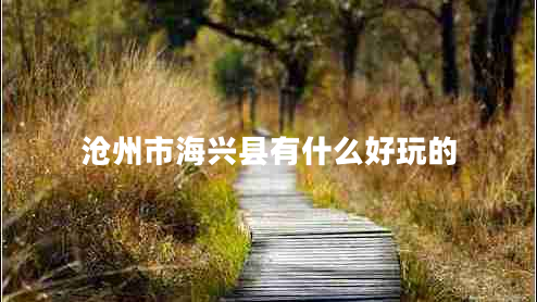 滄州市海興縣有什么好玩的