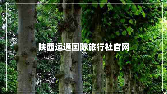 陜西運(yùn)通國際旅行社官網(wǎng)