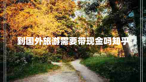 到國(guó)外旅游需要帶現(xiàn)金嗎知乎