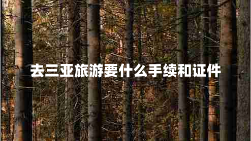 去三亞旅游要什么手續(xù)和證件 去三亞旅游要什么手續(xù)和證件