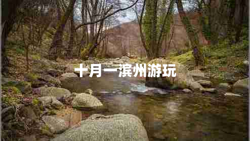 十月一濱州游玩 十月一濱州游玩