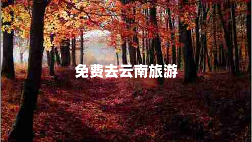 免費(fèi)去云南旅游 免費(fèi)去云南旅游